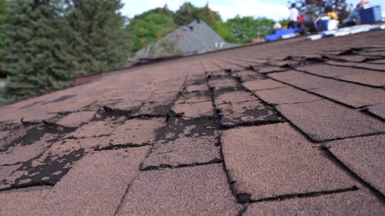 Fast & Reliable Emergency Roof Repairs in Centreville, MD